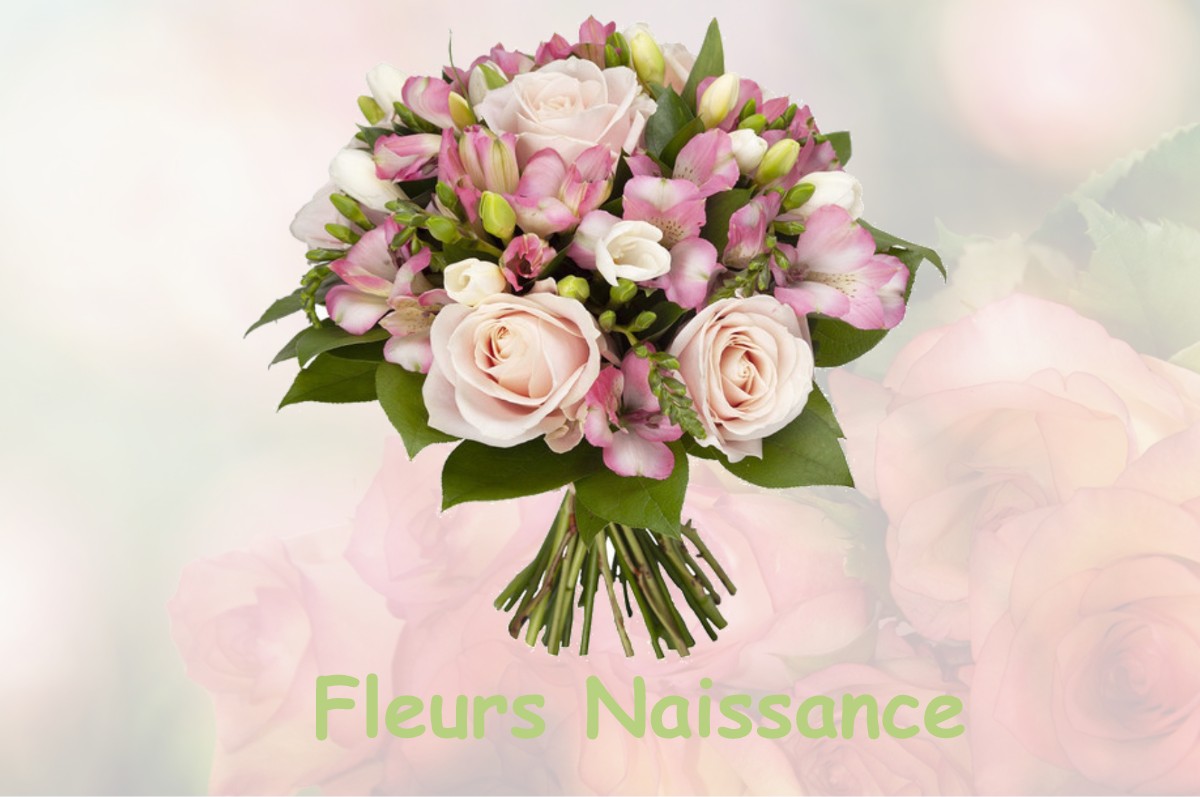 fleurs naissance MARILLAC-LE-FRANC